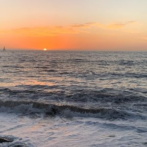 Meet your Posher, Joumaneh